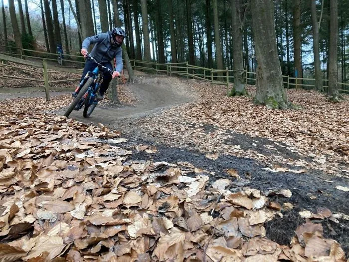 Love My Mountain Biking. Beat Tonic For The Mind