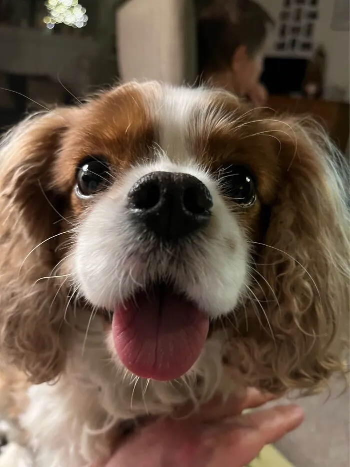 Say Hi To Minnie