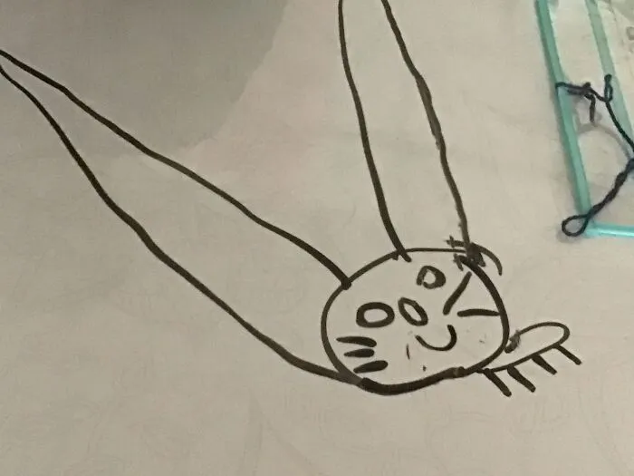 Drawing Of My Cat Because Mine Is Hiding Somewhere