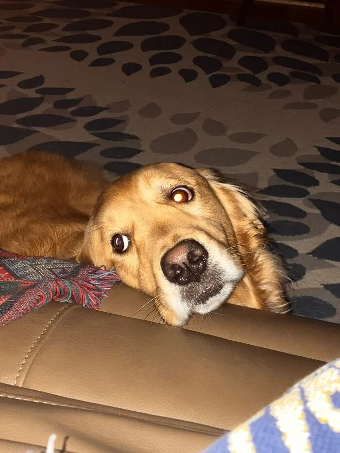 Madam Maggie