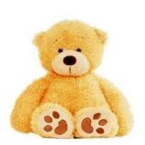 DBear
