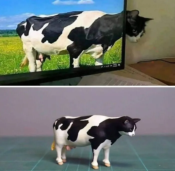 50 Of The Most ‘Blursed’ Images That Are As Blessed As They’re Cursed