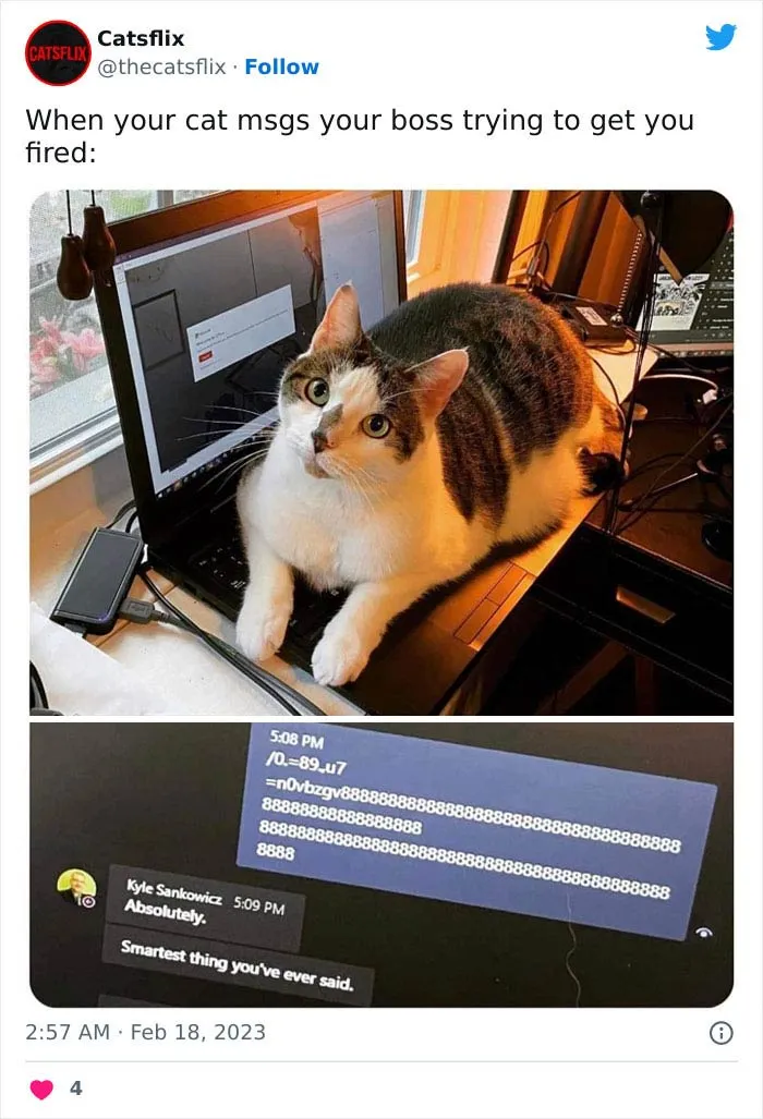 30 Wholesome Pics To Remind You There's Good In The World, As Shared On "Blessed Imageposting"
