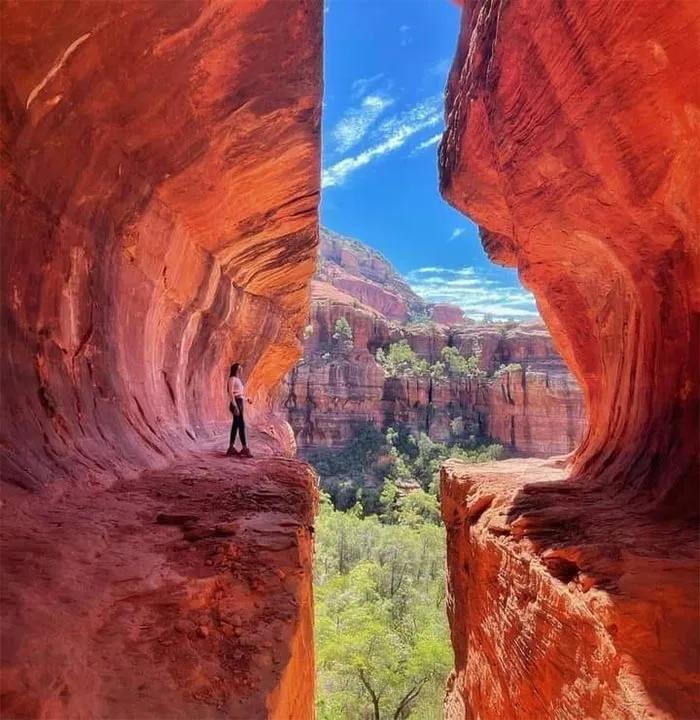 45 Times People Spotted “Accidental Surrealism” IRL And Just Had To Share (New Pics)