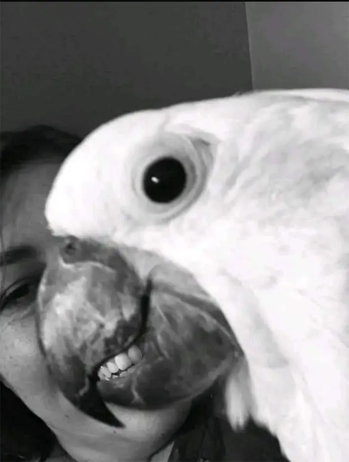 Smile