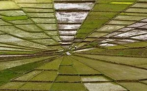 45 Times People Spotted “Accidental Surrealism” IRL And Just Had To Share (New Pics)