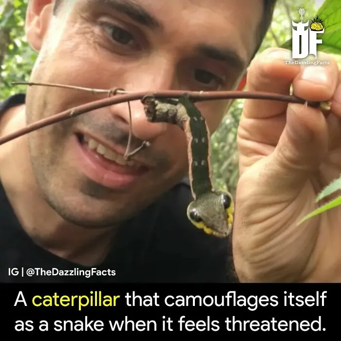 "Unbelievable But True": 40 Random Facts And Curiosities About The World Shared On This IG Page