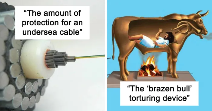 50 Interesting Facts About The World You Probably Didn’t Learn At School, As Shared By This Instagram Page