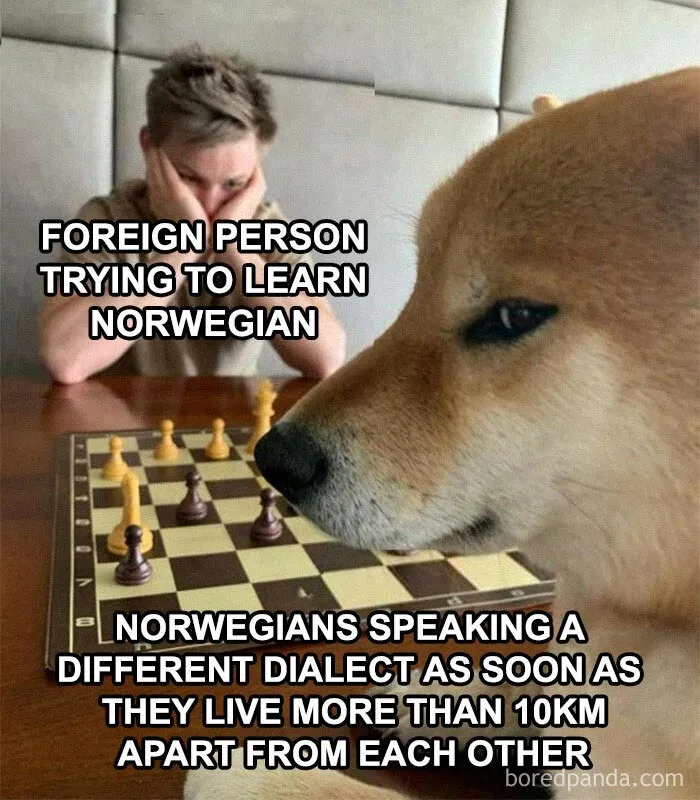 No Lies Detected