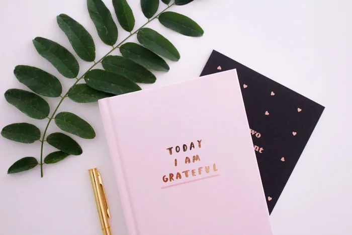 74 Journaling Ideas To Never Run Out Of Things To Write About