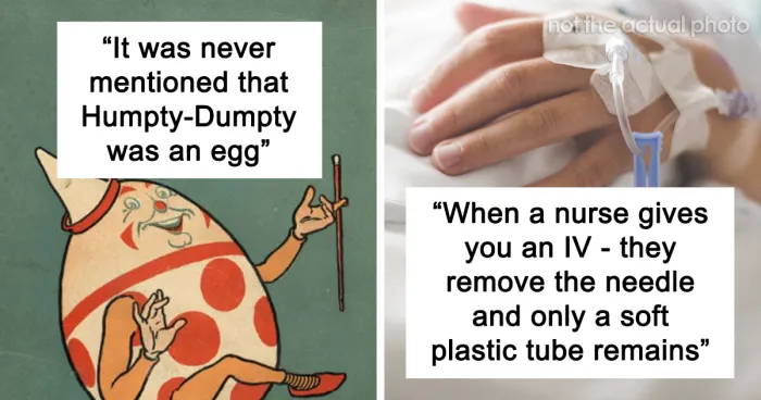 30 On-The-Nose Facts That Many Of Us May Feel Stupid For Not Realizing Earlier