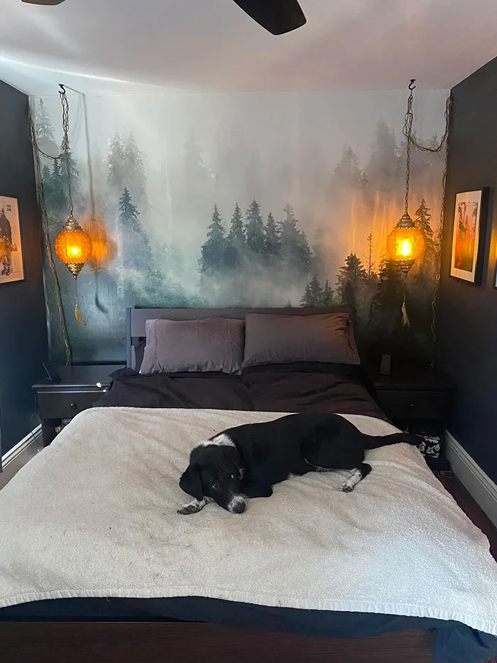 30 Examples Of Maximalist Design Done Right, As Shared On This Facebook Group