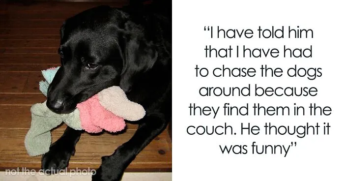 Guy Gets Tired Of His Boyfriend's Socks Being Scattered All Over Their Home, "Unionizes" With Their Dogs Against Him