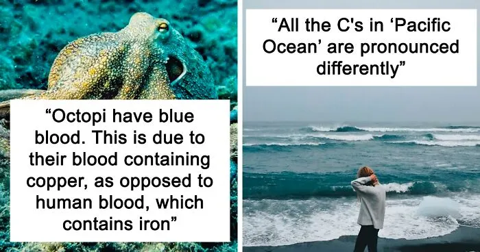 30 People Are Flexing Their Knowledge By Sharing The Most Interesting Random Facts They Know