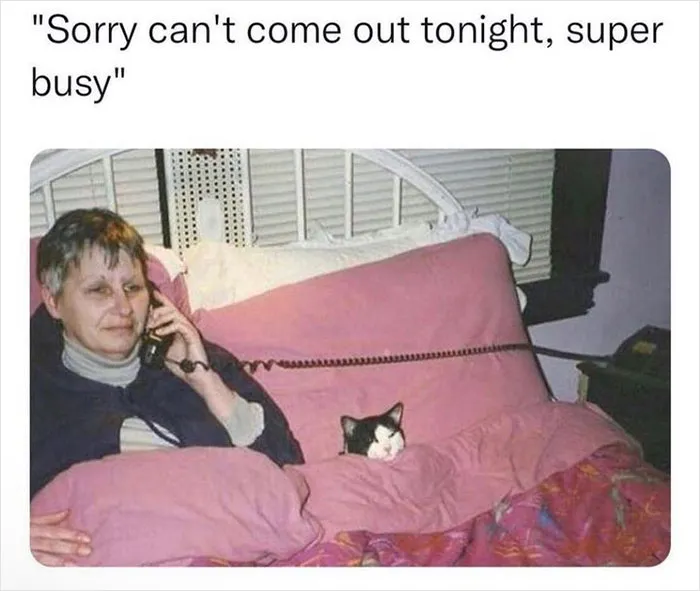 Nugget-Memes-Instagram