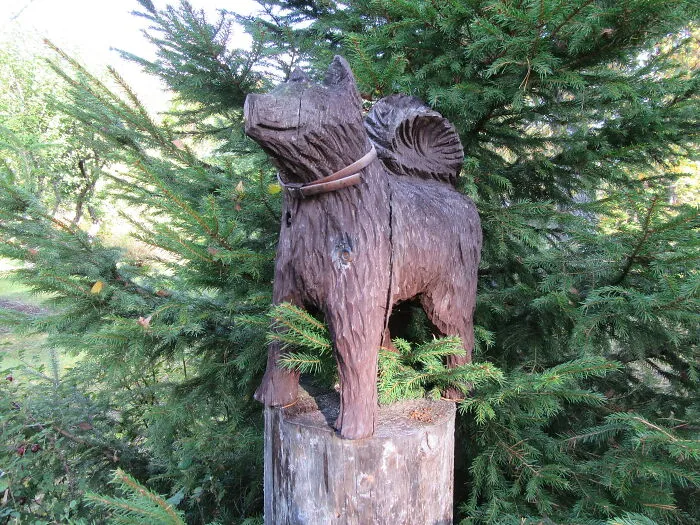 Old Wooden Dog With #31 Working With My Hands