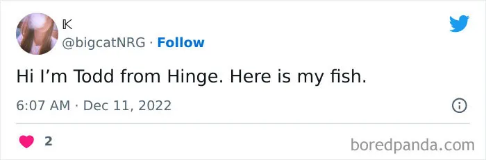 People Are Roasting Dating Profile Bios That Are 'Red Flags' In Themselves, And Here Are 30 Of The Funniest Ones