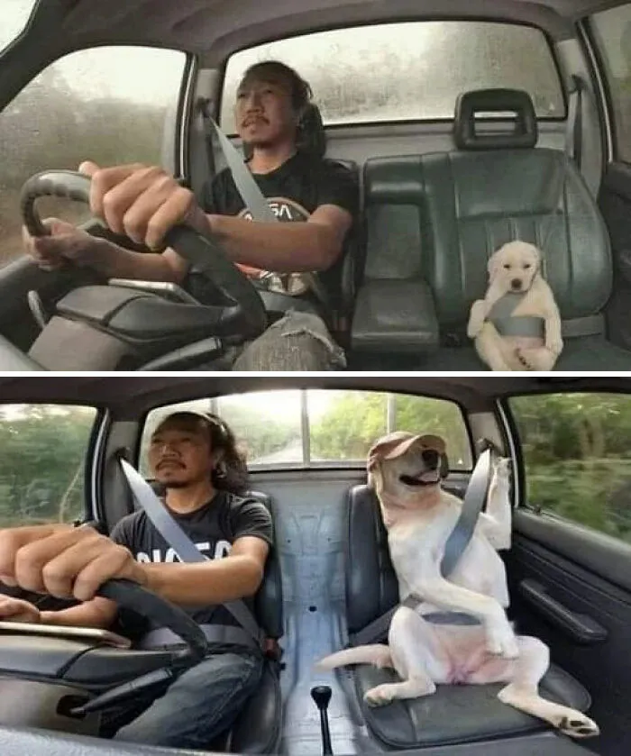 Awww