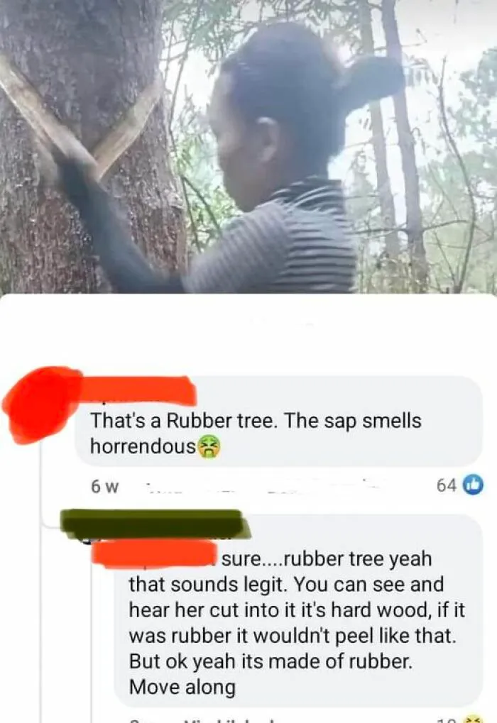 50 People That Had More Courage Than Brains To Go Incorrectly Correcting Someone, As Shared On This Group (New Pics)
