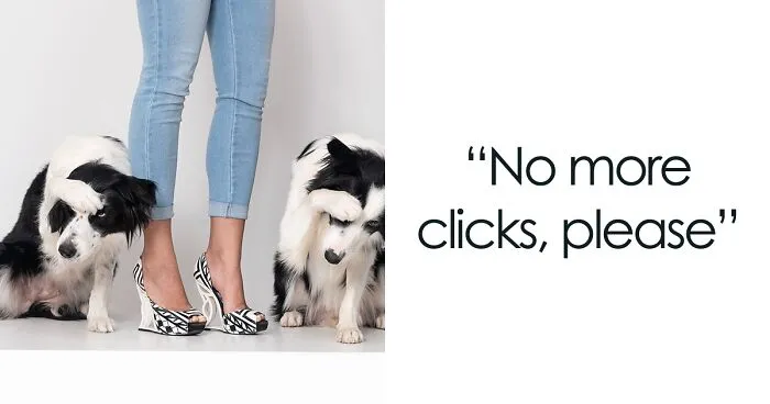 27 Photographs Proving That You Can Tell A Pet’s Owner By Their Feet