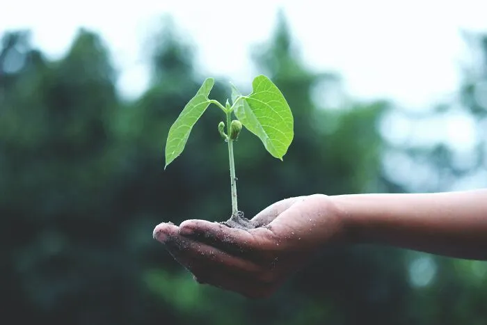 45 Fun Earth Day Activities To Keep The Family Buzzing All Day
