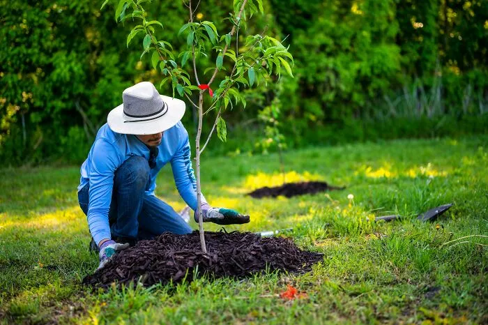 With The Celebration Of The Planet Coming Up, These 29 Earth Day Facts Might Help You To Prepare For It
