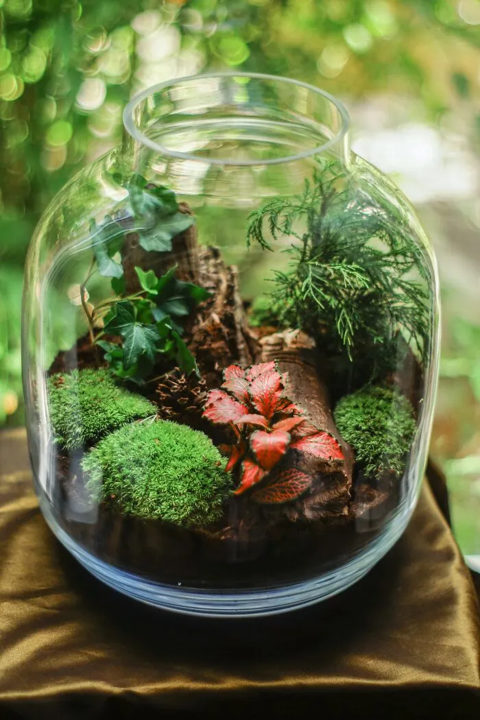 45 Fun Earth Day Activities To Keep The Family Buzzing All Day