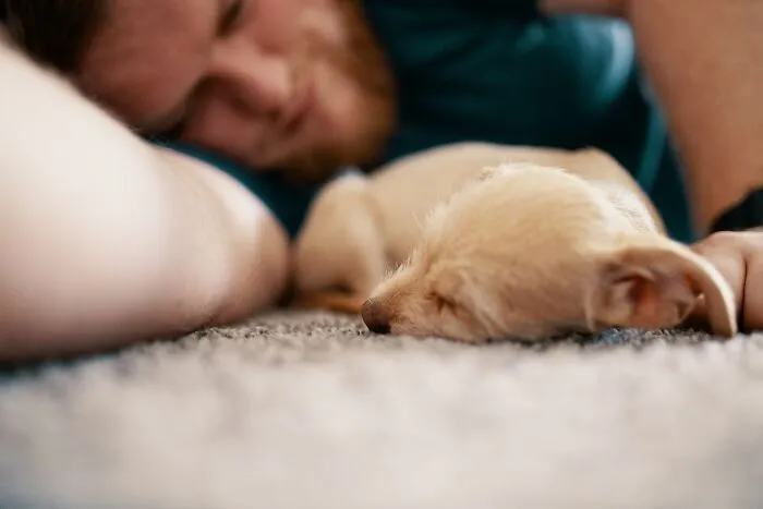 59 Best Feelings In The World That Got Some Online Users Feeling Great