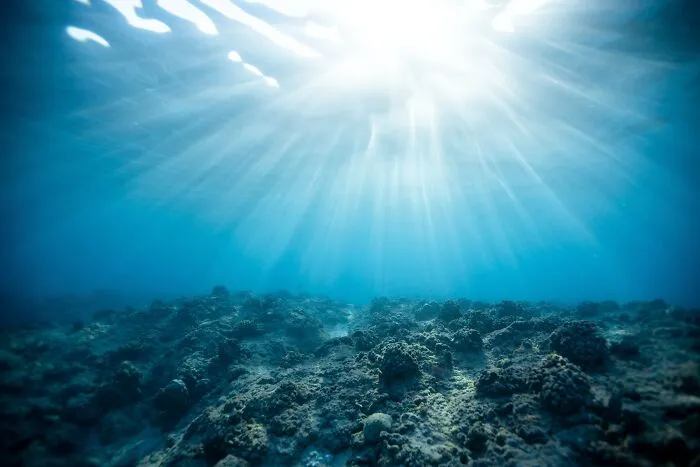 With The Celebration Of The Planet Coming Up, These 29 Earth Day Facts Might Help You To Prepare For It