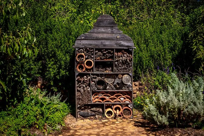 45 Fun Earth Day Activities To Keep The Family Buzzing All Day