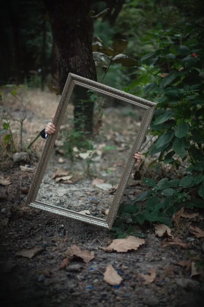 A large mirror frame held in the woods, reflecting the forest, symbolizing hurtful comments' impact.