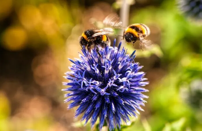 30 “Unfun” Facts That Are Both Fascinating And Terrifying