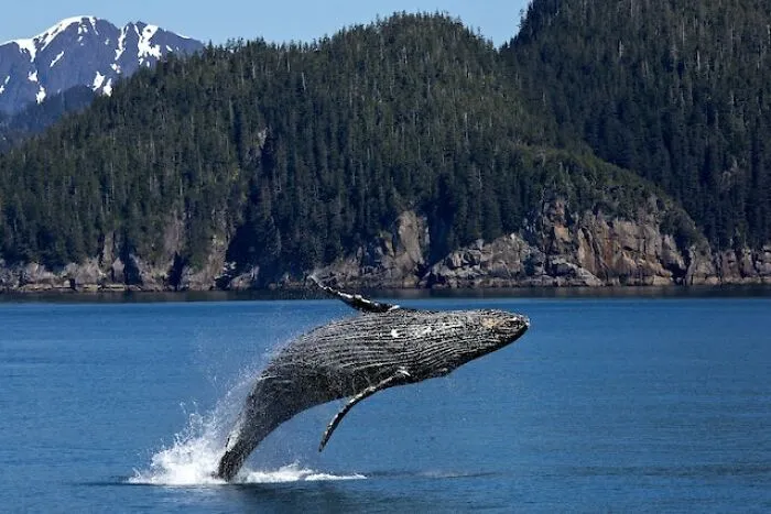 30 “Unfun” Facts That Are Both Fascinating And Terrifying