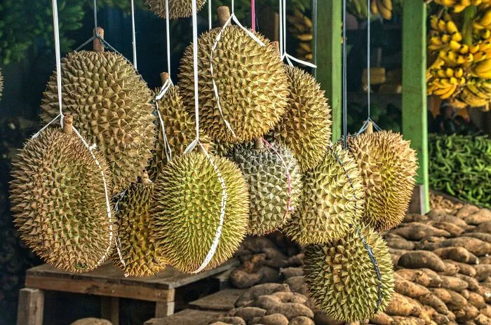 Eating Durian Fruit In Public (Thailand, Japan, Hong Kong, And Singapore)