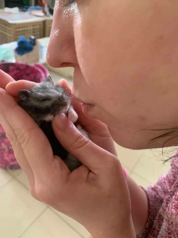 Me Kissing My Little Barry (I Named Him After Flash's Name)