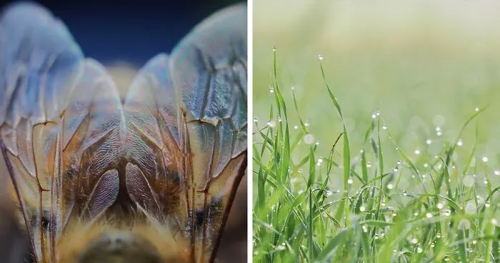 I’m Discovering My Gift Of Photography Just As Cancer Is Taking Away My Eyesight, And Here Are 14 Of My Best Nature Photos