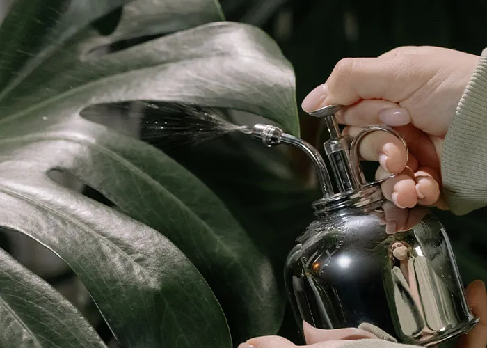 Water Your Plants