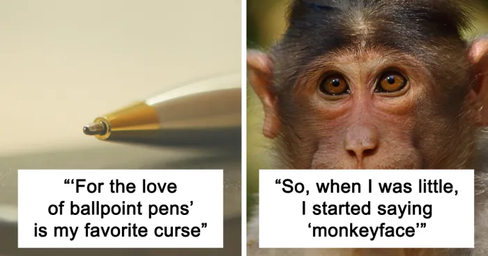 30 Most Ridiculous Things You Say So You Don’t Swear, Shared By Our Community