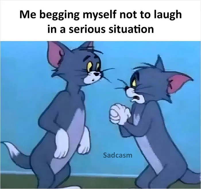 Turns Out, There's A Facebook Page Dedicated To 'Sadcastic' Memes, And Here Are 30 Of Them