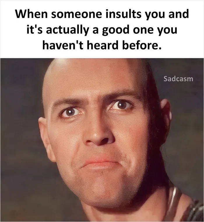 Turns Out, There's A Facebook Page Dedicated To 'Sadcastic' Memes, And Here Are 30 Of Them