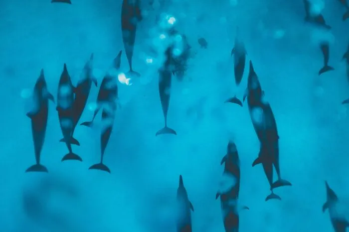 Someone Asks Sailors Or People Who Work At Sea "What's The Most Creepy Or Most Amazing Sight You Witnessed?" And 30 Deliver