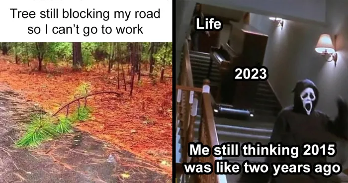 "I Feel Personally Attacked By This Meme": 40 Random Funny Memes That Hit Too Close To Home