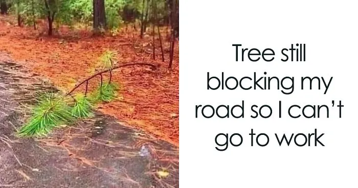 "I Feel Personally Attacked By This Meme": 40 Random Funny Memes That Hit Too Close To Home