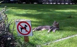 50 Silly, Funny, Dumb and Stupid Signs That People Have Shared In This Online Group