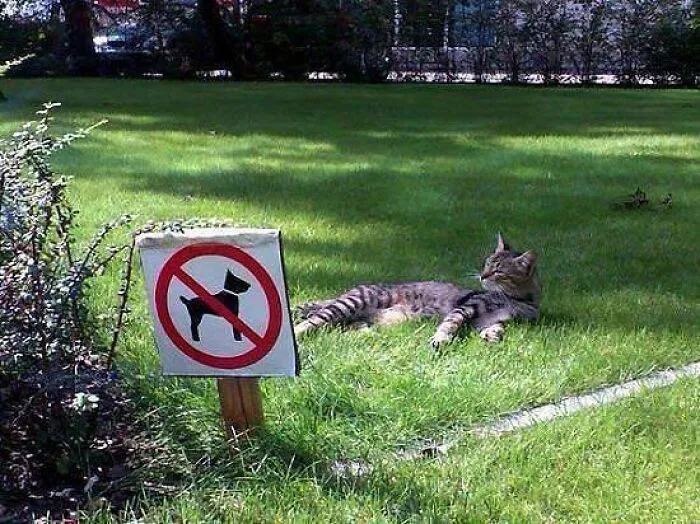 50 Silly, Funny, Dumb and Stupid Signs That People Have Shared In This Online Group