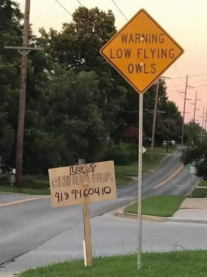 50 Silly, Funny, Dumb and Stupid Signs That People Have Shared In This Online Group