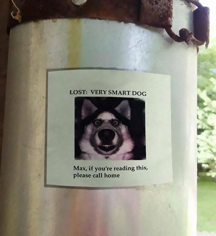 50 Silly, Funny, Dumb and Stupid Signs That People Have Shared In This Online Group