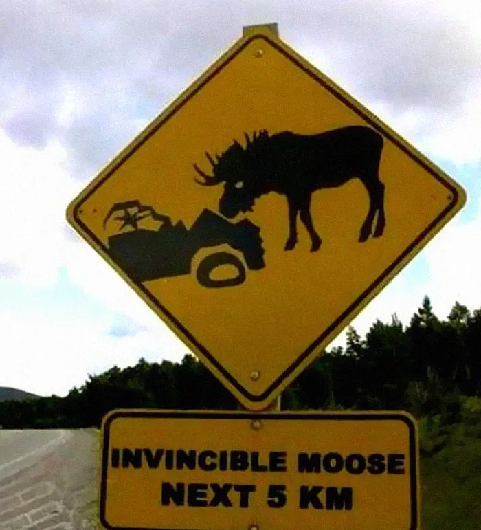 50 Silly, Funny, Dumb and Stupid Signs That People Have Shared In This Online Group