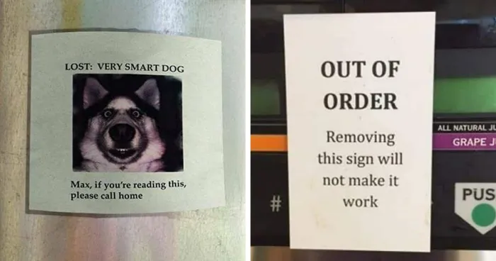 50 Silly, Funny, Dumb and Stupid Signs That People Have Shared In This Online Group