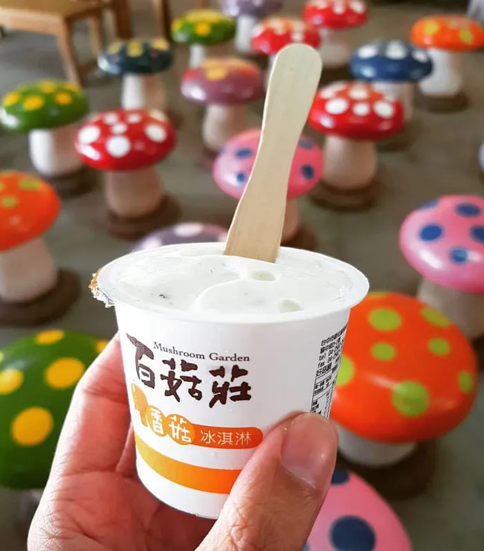 Ice cream in the cup with wooden spoon 